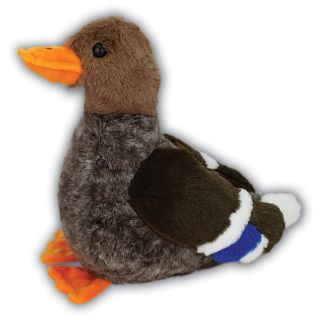 Obrázek z Kachna divoká plyš 30cm 